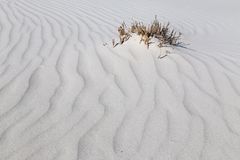 auf dem Kniepsand