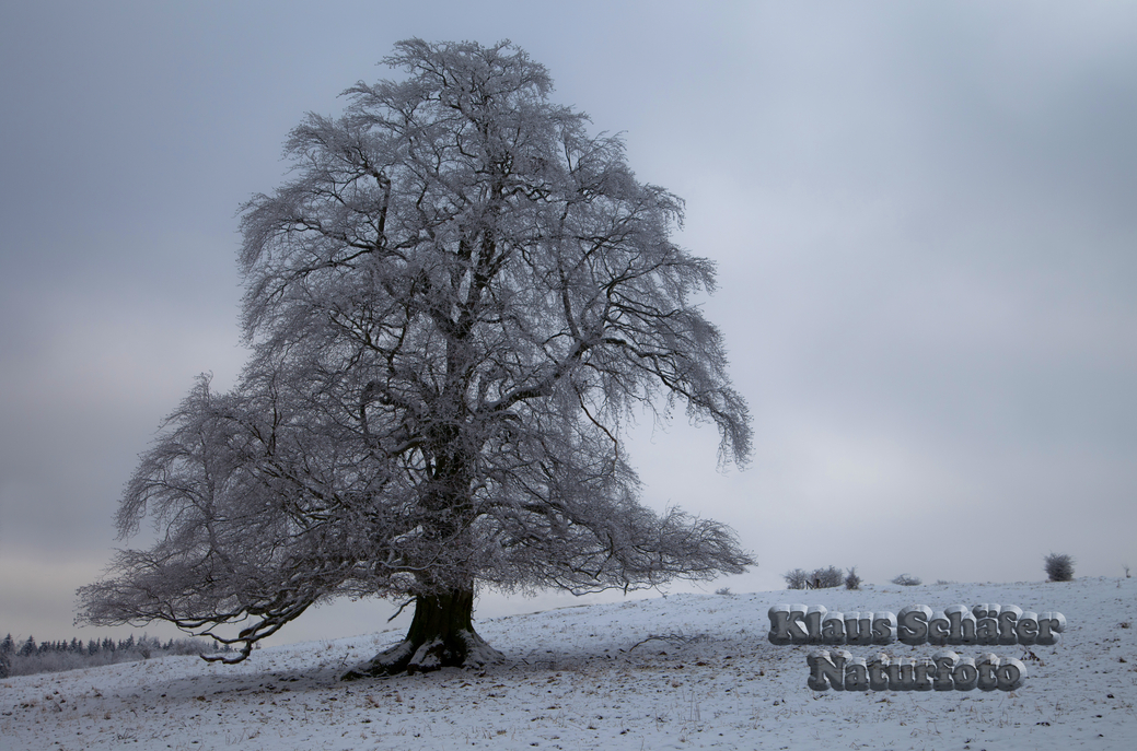 Auf dem Knoten - Westerwald