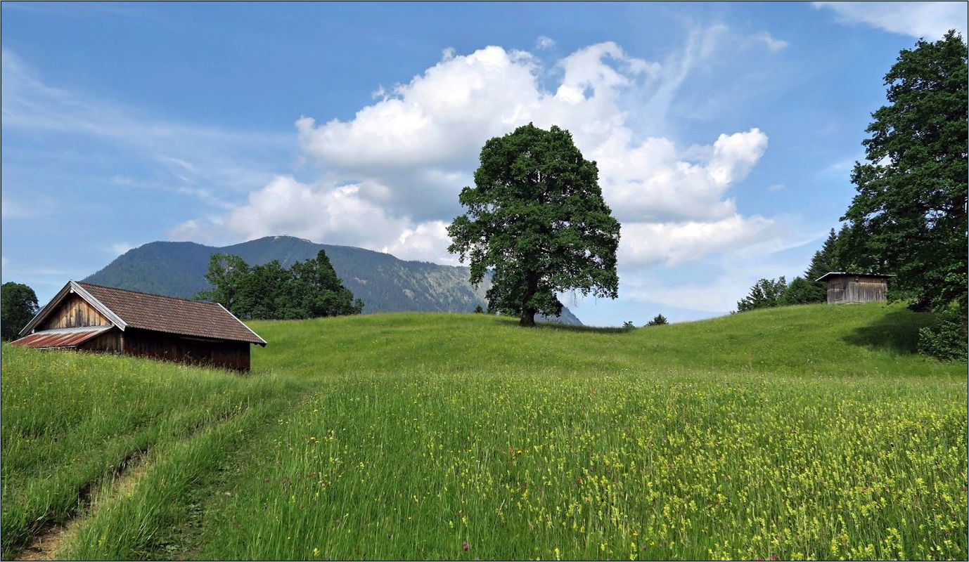 Auf dem Kochelberg