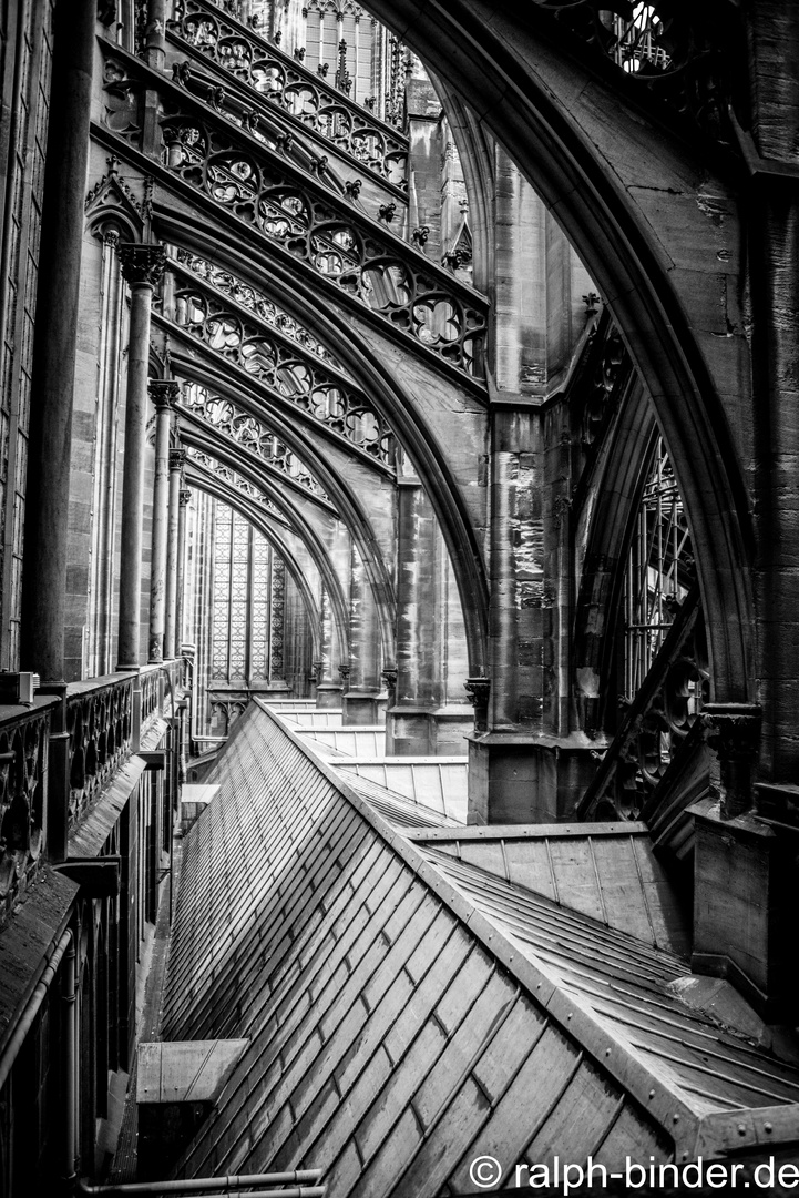 Auf dem Kölner Dom