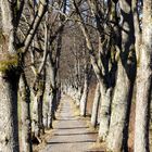 Auf dem König-Ludwig-Weg am Starnberger See