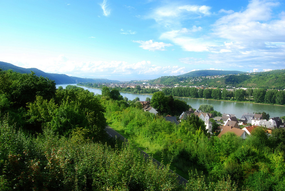 Auf dem Königsstuhl in Rhens