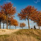 auf dem Kronsberg  - Hannover