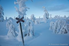 auf dem Kuertunturi (14) - Crossing ...