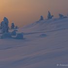 auf dem Kuertunturi (4)