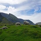 Auf dem Küstenwanderweg ...