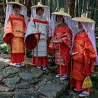 Auf dem Kumano Kodo Pilgerweg