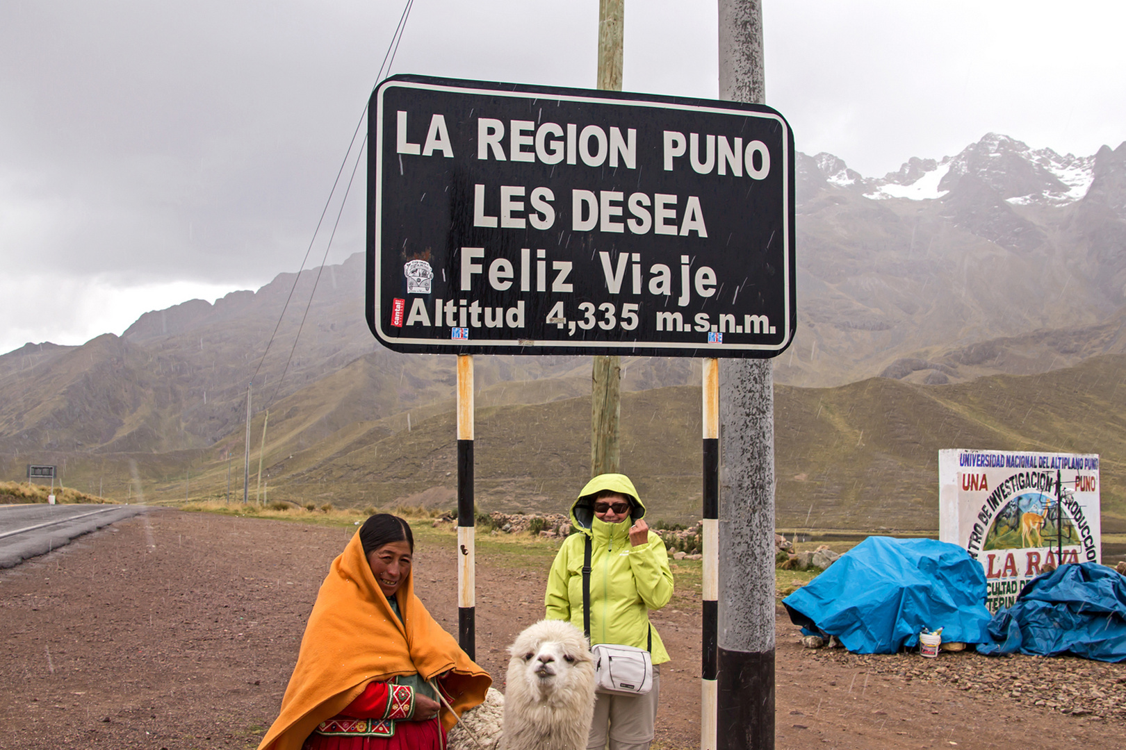 Auf dem La Raya Pass, 4335 m.ü.M.