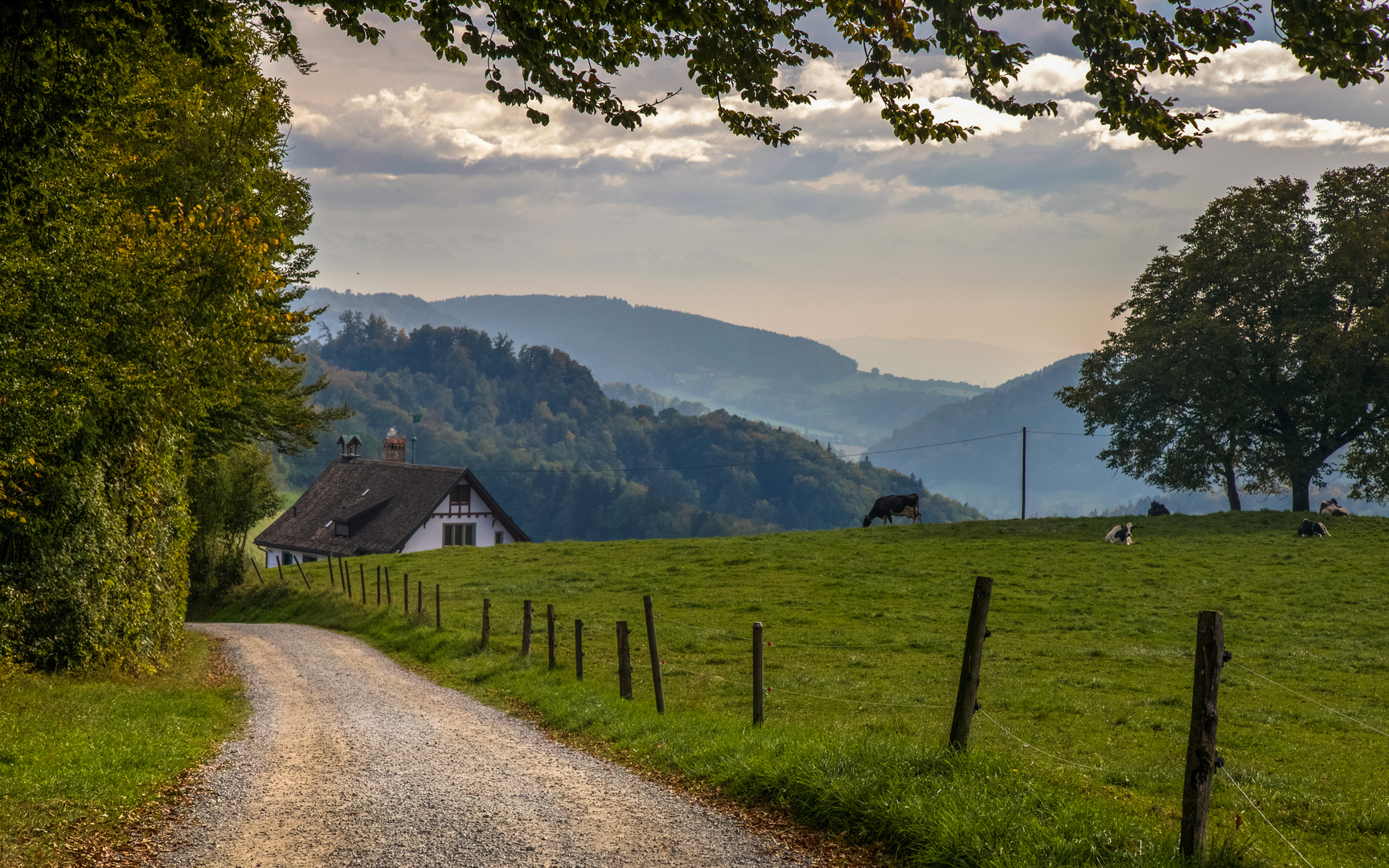 auf dem Land.