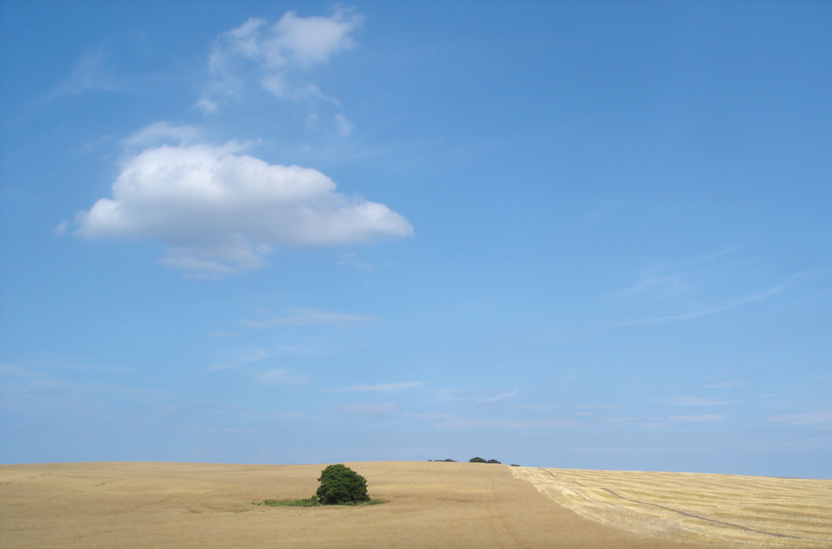 Auf dem Land - 4