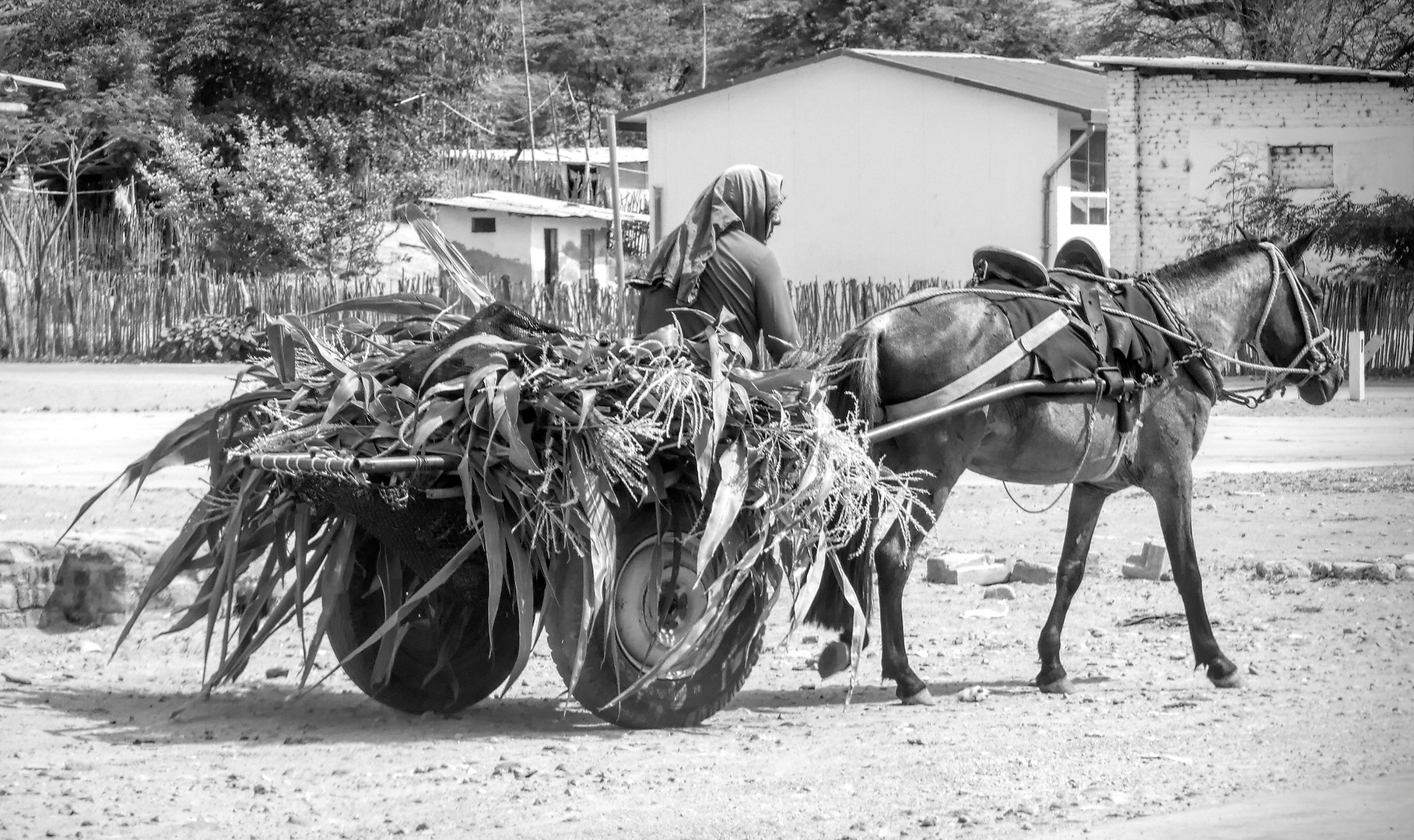 Auf dem Land Foto & Bild | south america, peru, cultural heritage