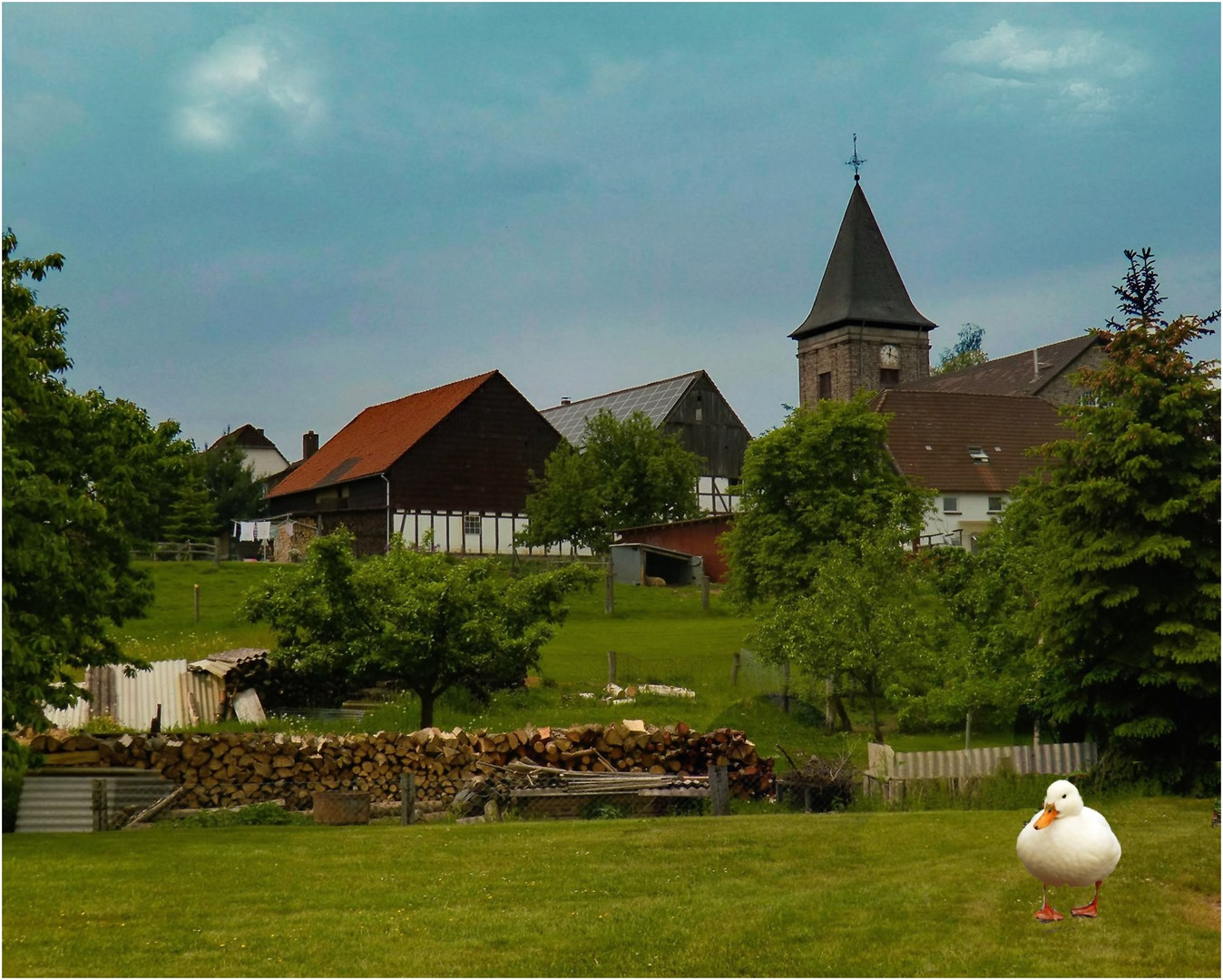 Auf dem Land Foto & Bild | sommer, natur, landschaft Bilder auf