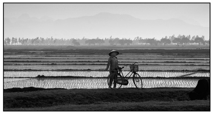 Auf dem Land bei Hanoi - Vietnam