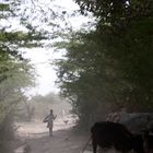 Auf dem Land bei Jodhpur