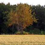 " Auf dem Land "