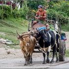 Auf dem Land (Cuba)