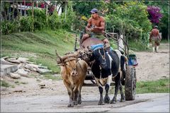 Auf dem Land (Cuba)