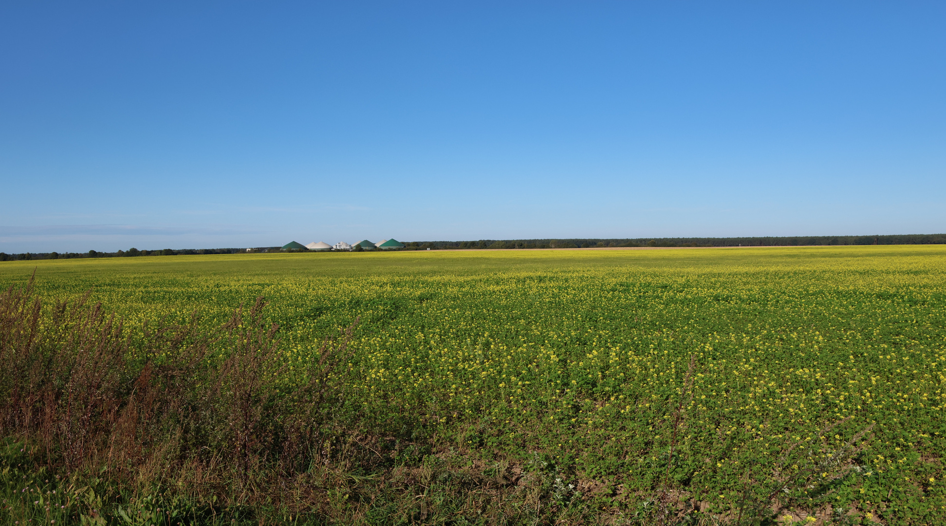 auf dem Land