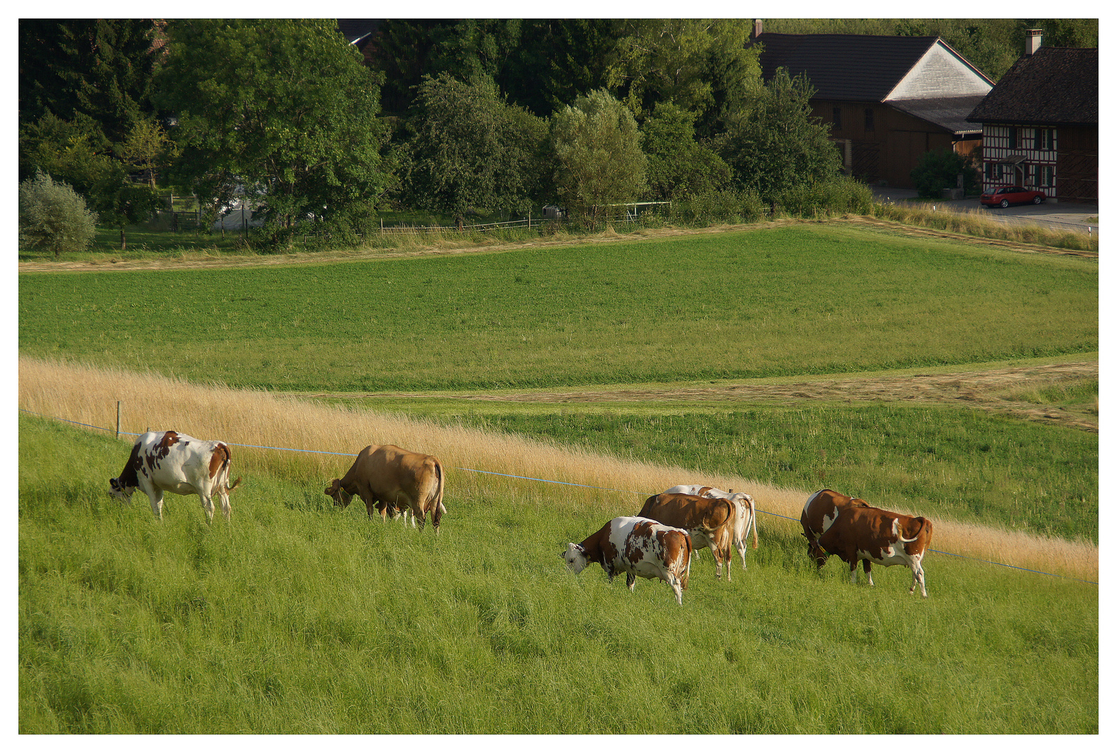 Auf dem Land im Jahre 2012