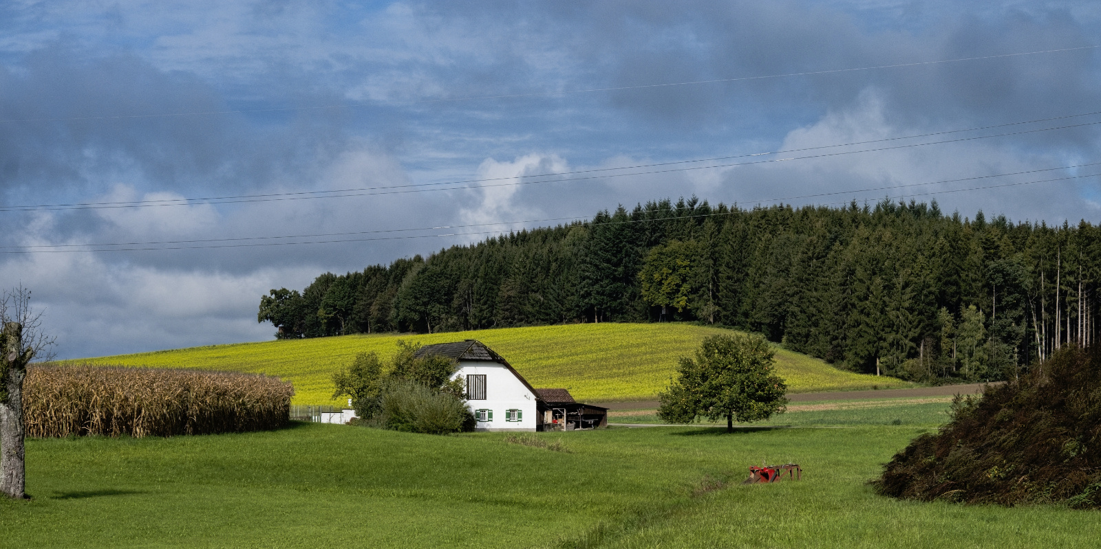 Auf Dem Land Leben