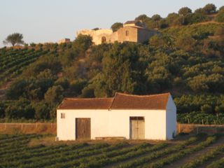 auf dem Land (Sizilien)