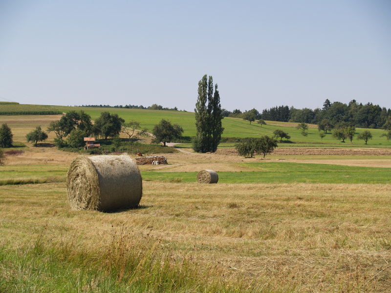 auf dem lande