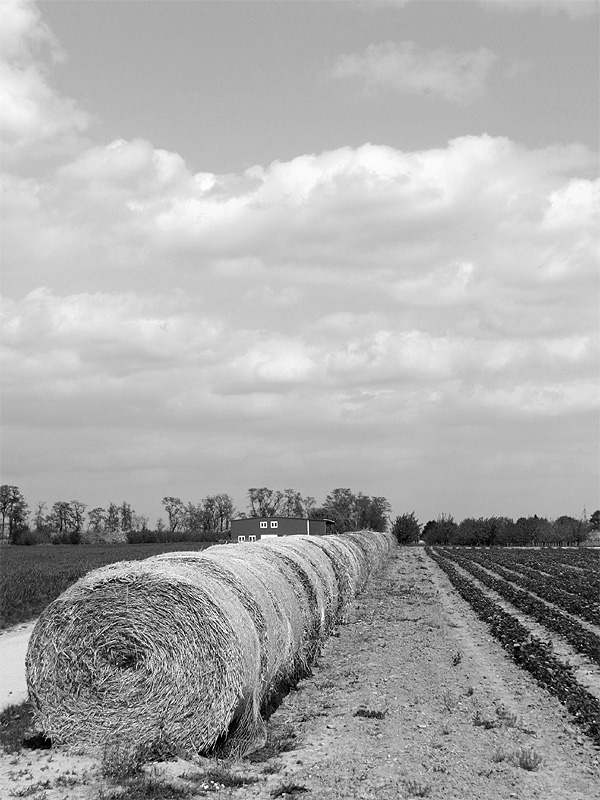 Auf dem Lande [5]