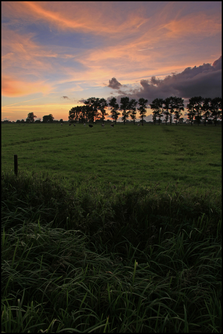 Auf dem Lande. Foto & Bild | landschaft, sonnenuntergang, natur Bilder ...