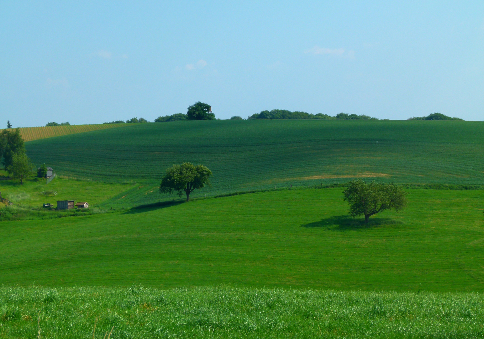 Auf dem Lande