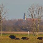 Auf dem Lande...