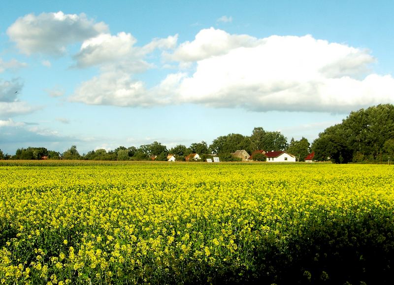 Auf dem Lande