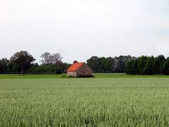 auf dem Lande