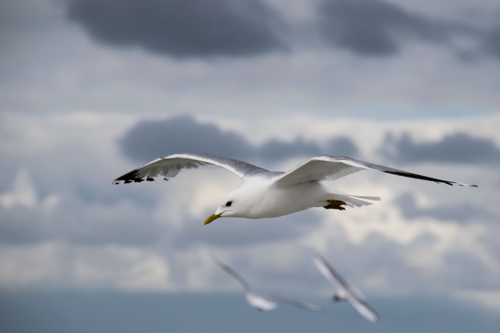 Auf dem Lande auf dem Meer