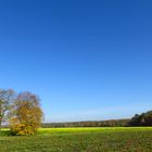 auf dem Lande......