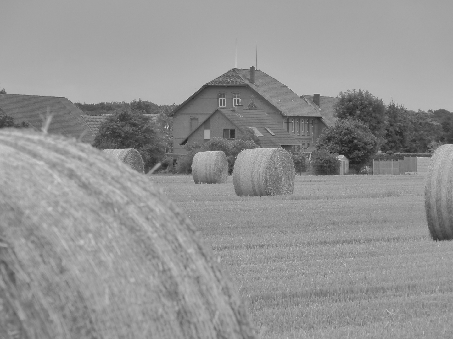 ... auf dem Lande ...