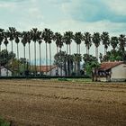 Auf dem Lande.                      .DSC_3282