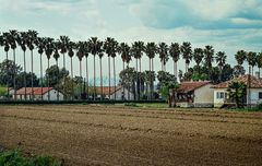 Auf dem Lande.                      .DSC_3282