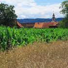 Auf dem Lande