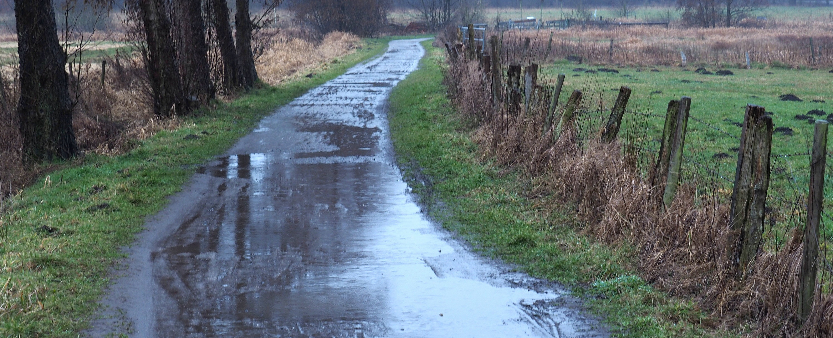 Auf dem Lande I Foto & Bild | landschaft, wege und pfade, regen Bilder ...