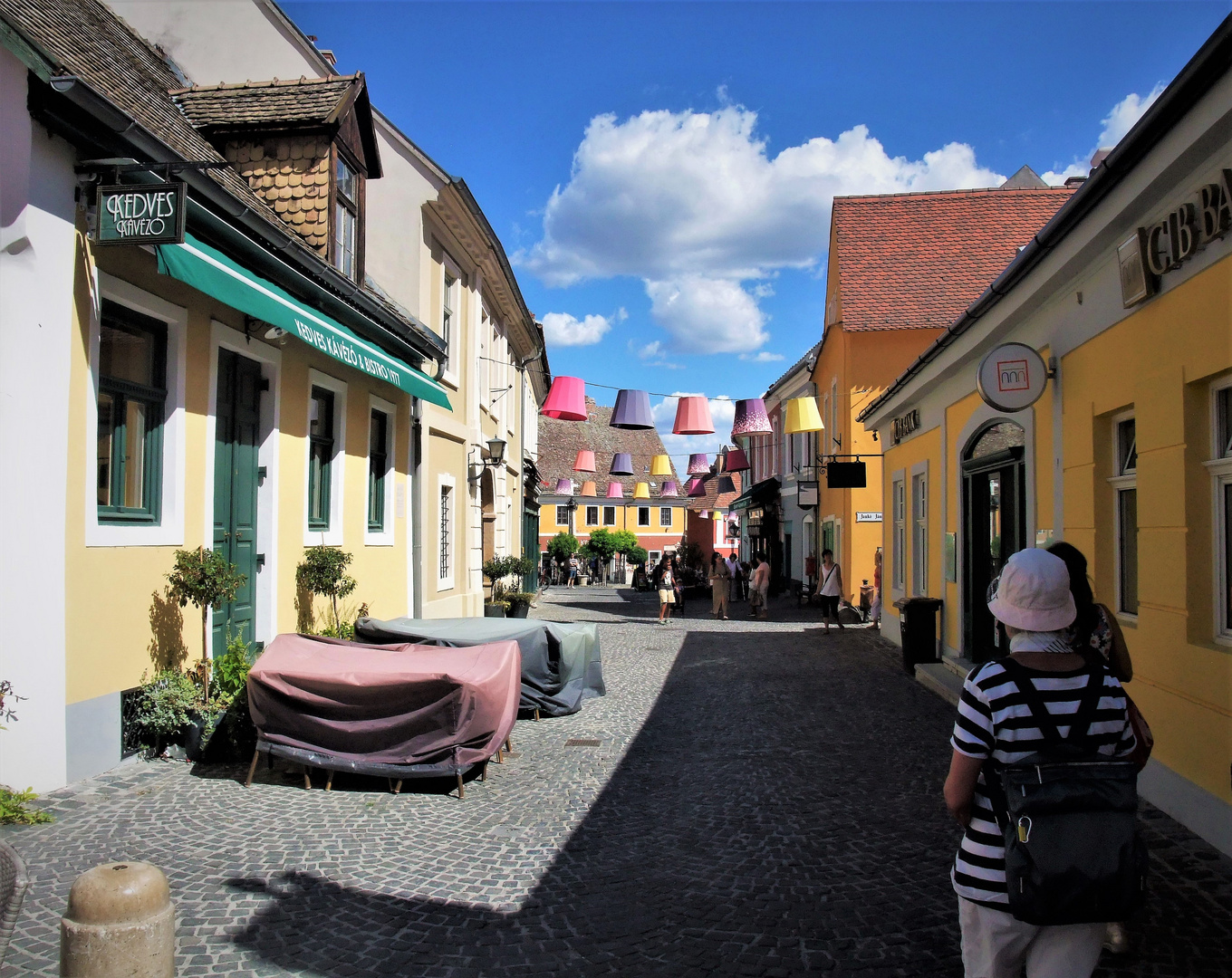 - auf dem Lande in UNGARN (16)