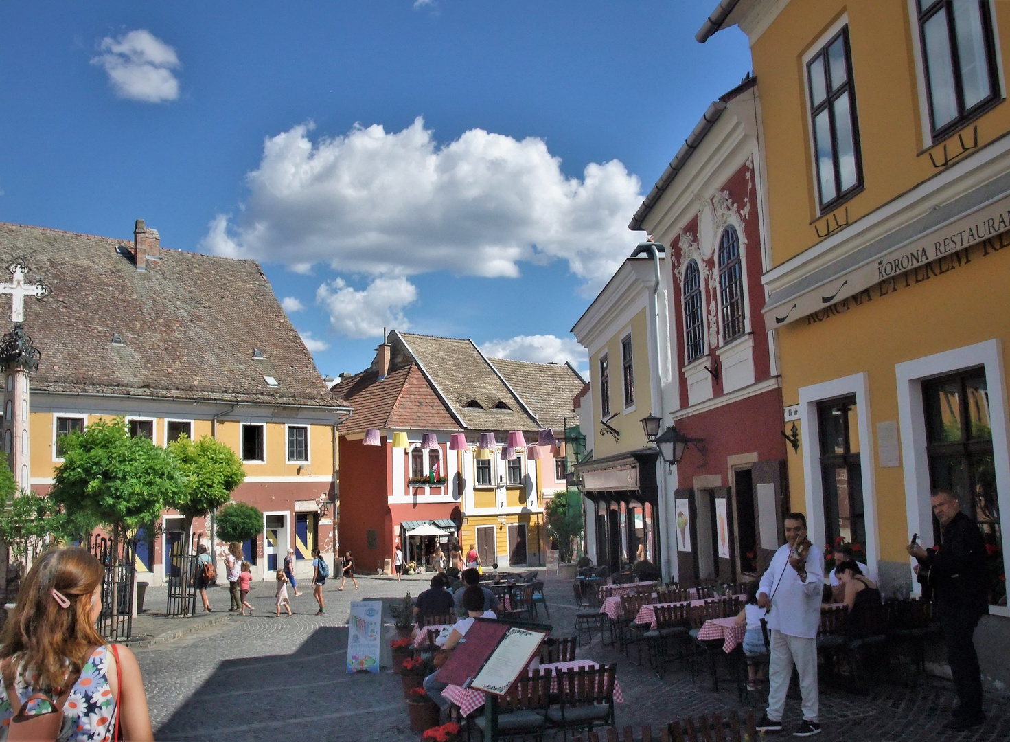 - auf dem Lande in UNGARN (20)