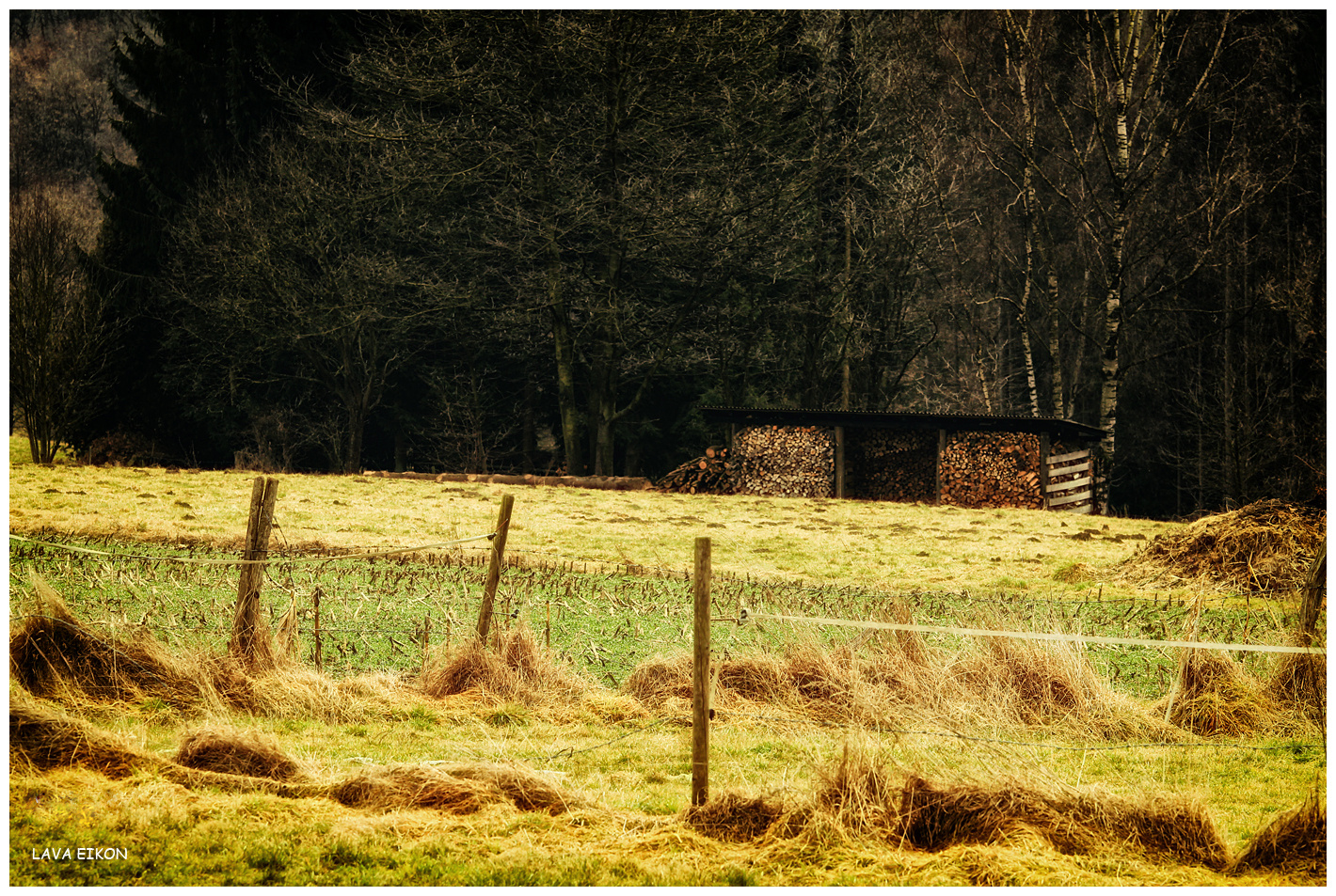 auf dem Lande nach dem Schnee (2)