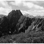 Auf dem Laufbacher Eck-Weg 2