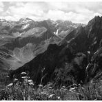 Auf dem Laufbacher Eck-Weg 3