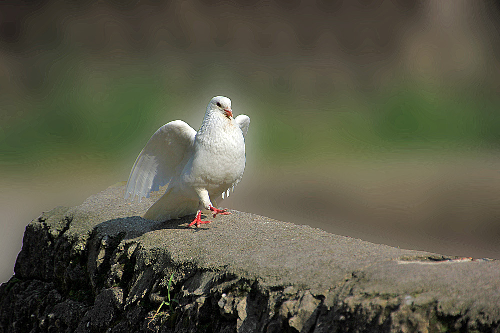 Auf dem Laufsteg