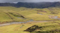 auf dem Laugavegur