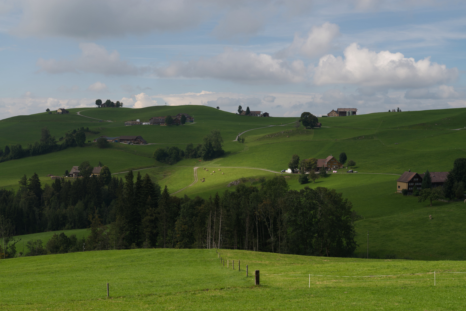 Auf dem Leimensteig