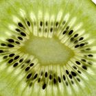 Auf dem Lichttisch - Kiwi