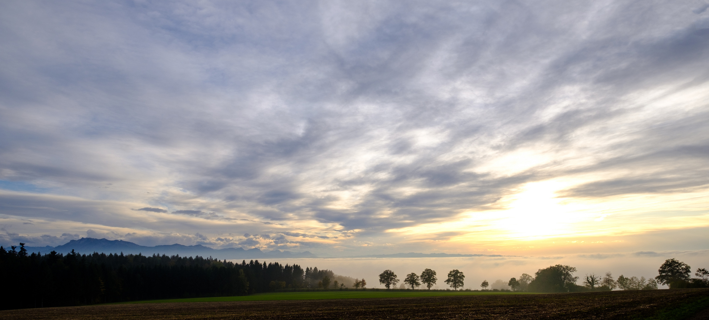 Auf dem Lindenberg