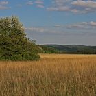 Auf dem Lochen 2